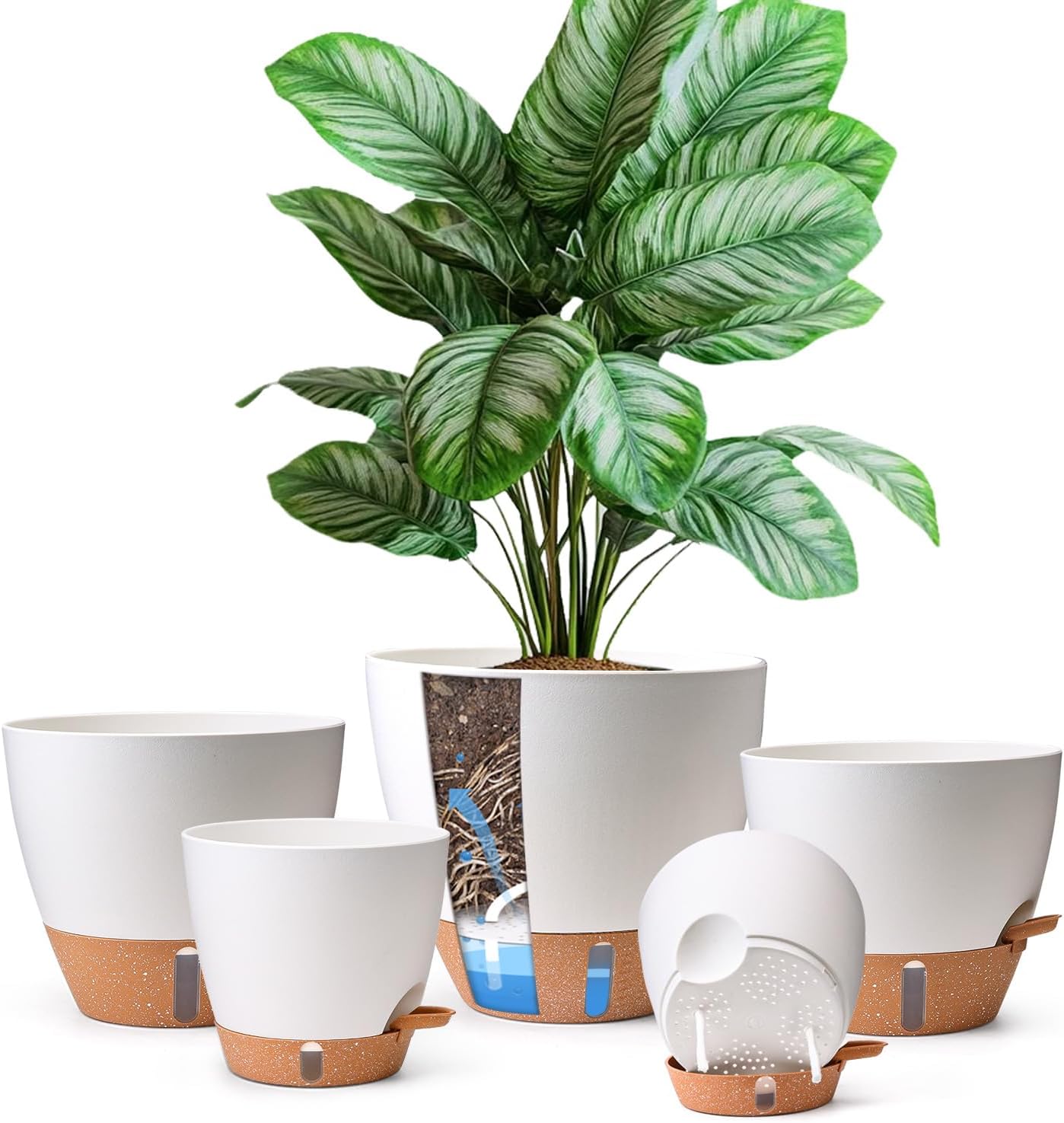 T4U 5 Pack Self Watering Pots (6"+8"+9"+10"+12") - Water Level Indicator & Deep Reservoir, Mess-Free Planters for Busy People, Beginners & Gardeners, Fit Most Plants, Indoor Outdoor Use (White)