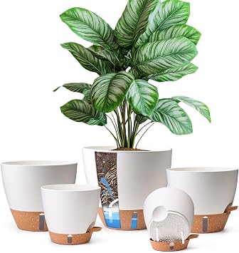 T4U 5 Pack Self Watering Pots 6"+8"+9"+10"+12" - Water Level Indicator & Deep Reservoir, Mess-Free Planters for Busy People, Beginners & Gardeners, Fit Most Plants, Indoor Outdoor Use White