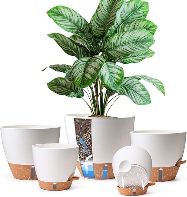 T4U 5 Pack Self Watering Pots (6
