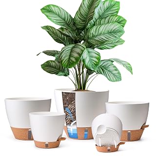 T4U 5 Pack Self Watering Pots (6"+8"+9"+10"+12") - Water Level Indicator & Deep Reservoir, Mess-Free Planters for Busy People, Beginners & Gardeners, Fit Most Plants, Indoor Outdoor Use (White) - Amazon product rated Grade A