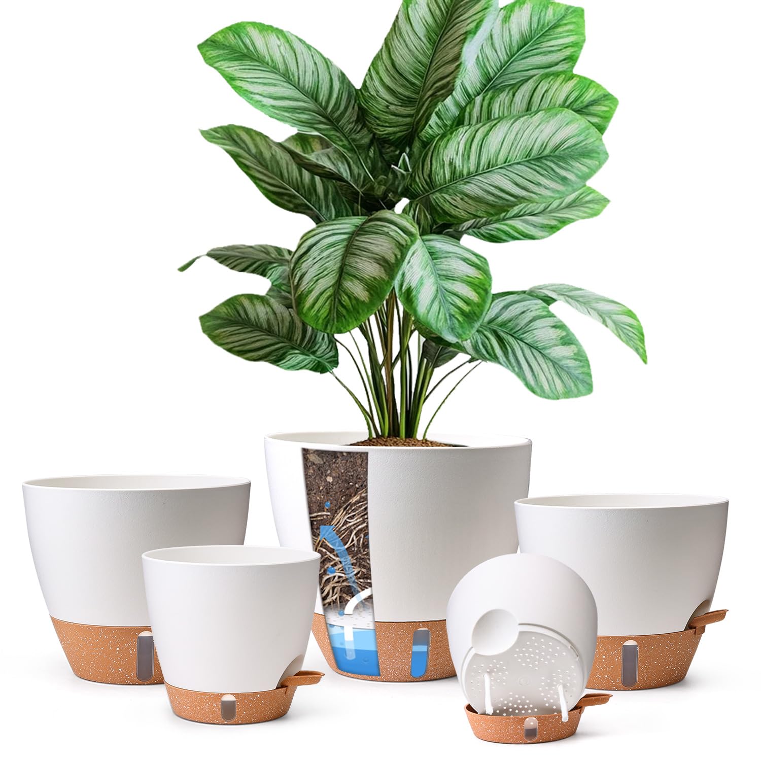 T4U 5-Pack Self Watering Pots