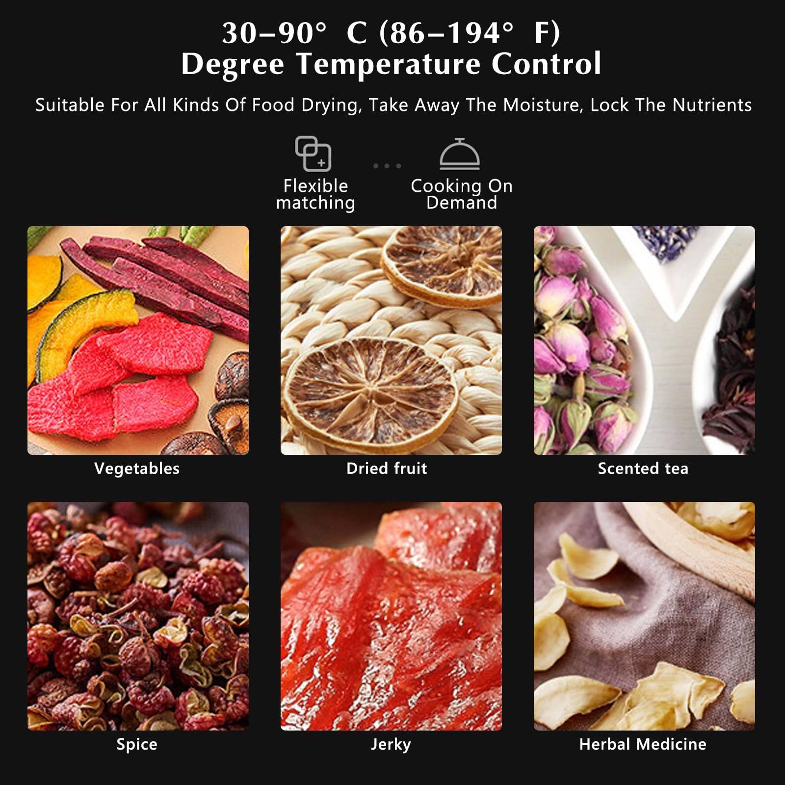 Essiccatore per Alimenti per Carne secca, Macchina essiccata per Alimenti con vassoi in Acciaio Inossidabile 6/10, Macchina essiccata per Alimenti con Temperatura Digitale,6Tray