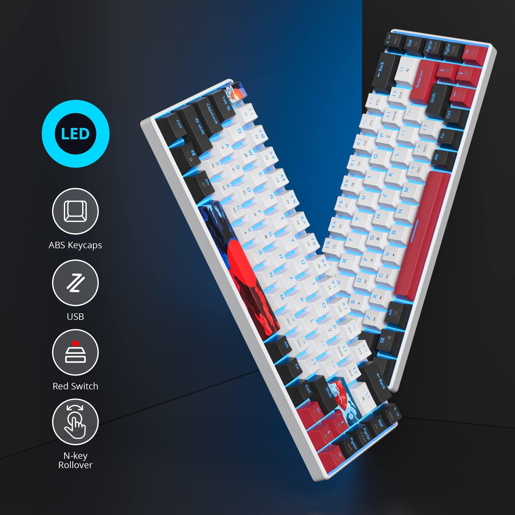 60 Percent Gaming Keyboard 68 Keys Mechanical Keyboard LED Backlit Compact Wired Keyboard with Red Switch for Windows PS4/5 Xbox Gamer(Black-White)