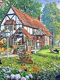 Diamant peinture maison point de croix Kits diamant broderie arbre plein rond mosaïque paysage couture décor à la maison E3 20x30cm