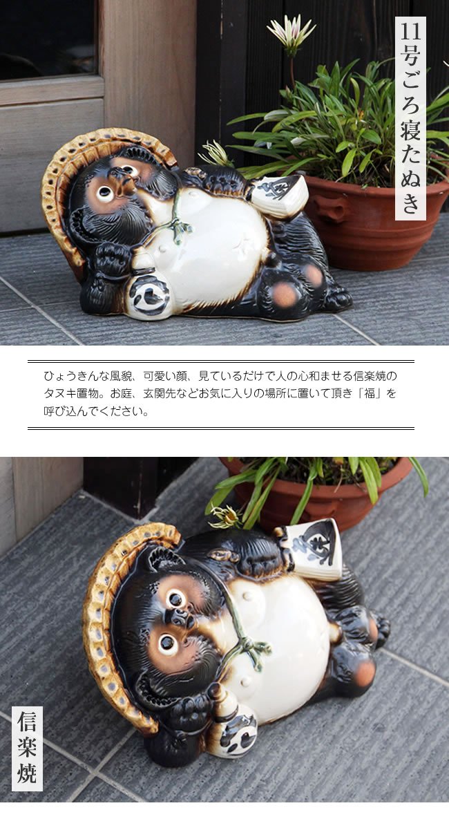 Amazon.co.jp: 信楽焼 【ごろ寝狸 ta-0046】しがらき 信楽焼き 陶器 し 