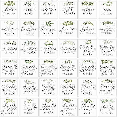 Greenery Maternity - Accesorios de fotos semanales de hitos  18 tarjetas paquete de 36 hitos semanales  9 x 9 pulgadas, recuerdo moderno de embarazo