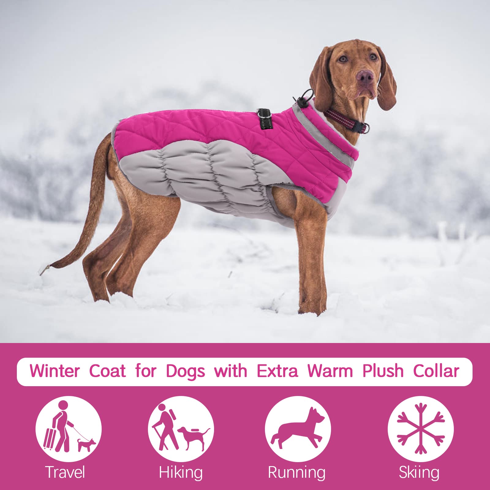 Kuoser Hundejacke Hundemantel für Kleine Hunde Winterweste, Wasserdicht Hunde Wintermantel Jacke Winter Hunde Mantel Mit Geschirr Warme Winterjacke Hundepullover Haustier Skifahren Kostüm Rosa, XS - 4