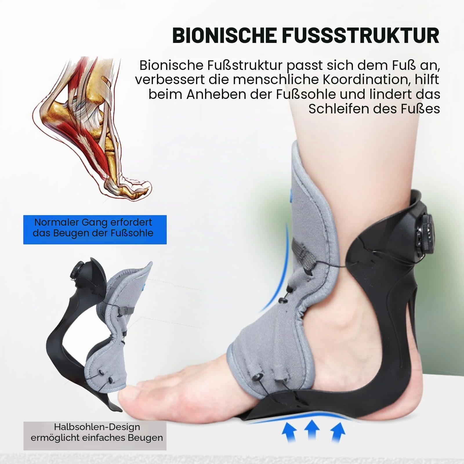 Fußheberorthese Zum Gehen Mit Schuhen Fußheberorthese Zur Unterstützung Der Dorsalflexion AFO-Fußheberorthese Zur Effektiven Schmerzlinderung,Right,L