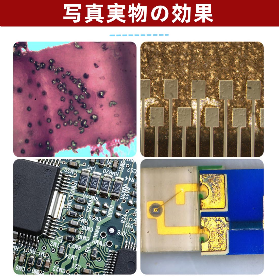 Amazon.co.jp: デジタル顕微鏡 USB顕微鏡カメラビデオ 画像とビデオ KP