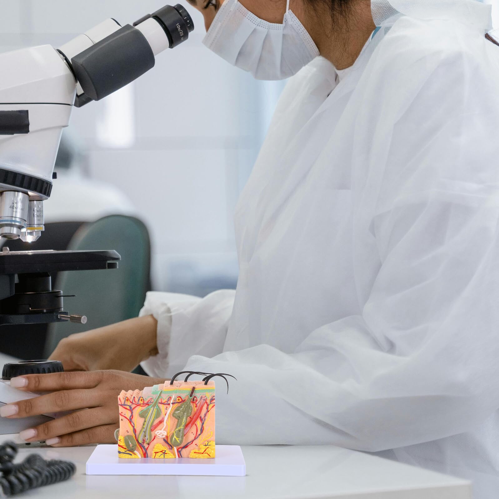 Gatuida Modello di Pelle Umana Ingrandito 35X per Insegnamento Anatomico Modello Didattico di Struttura Cutanea per Aula e Laboratorio Anatomico Scientifico per Studio Medico e