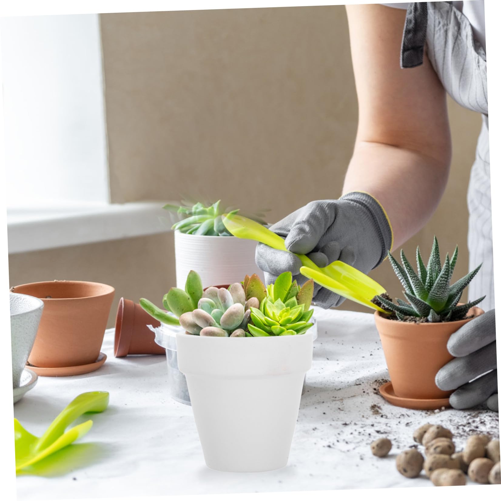 20 Pezzi Piccoli Vasi in Terracotta Bianca per Piante Grasse con Foro di Drenaggio Vaso Ceramico per Fiori Adatto a Progetti Scolastici e Bomboniere