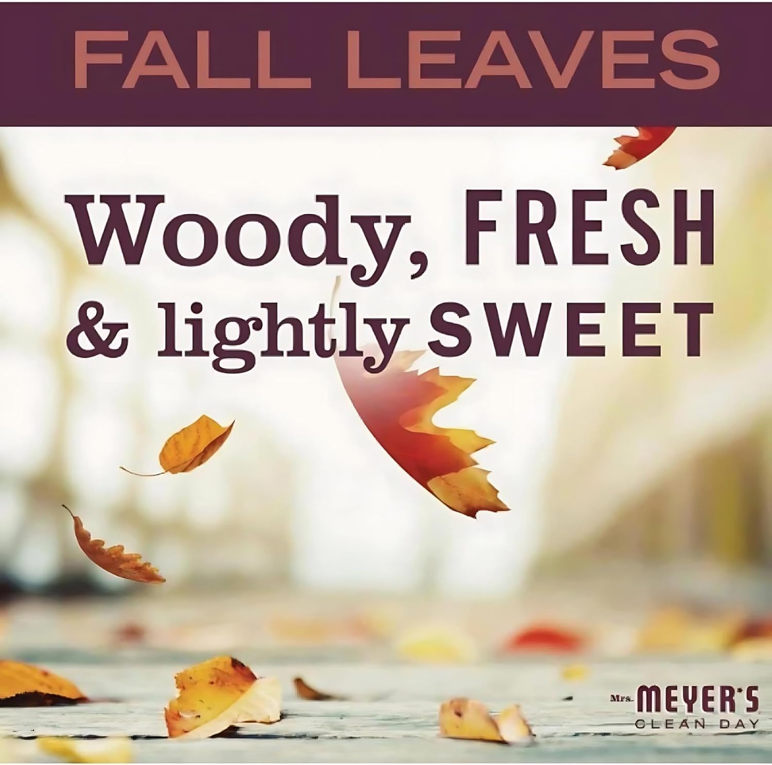 Mrs. MEYER'S Clean Day Fall Leaves Scent Dish Soap (3)