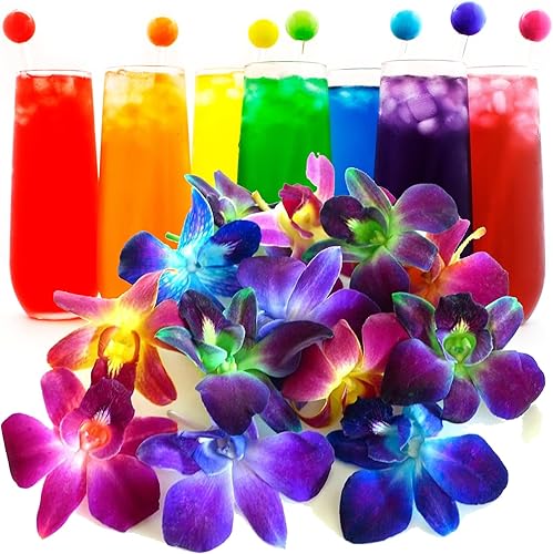 Miniatura 9 de Miami Fresh Orchid Flower OrchidClub USA Sunne Tropical Loose Bloom DIY Lei, decoración de alimentos y bebidas (50 morado)
