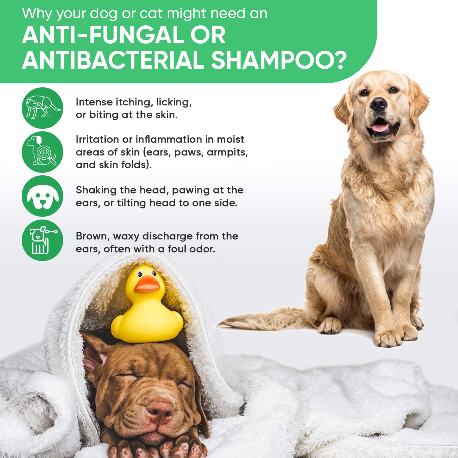 Truseb 1 Chlorhexidine 4 Shampoo for Dogs, puppies & Cats Medicated