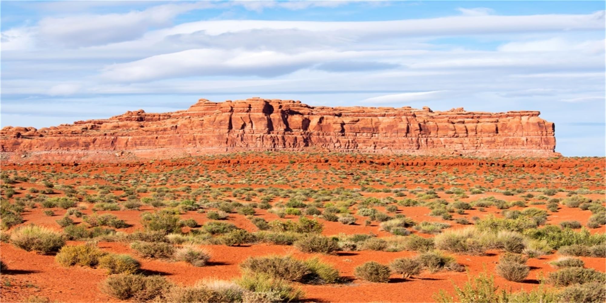 MIRRORANG 120x61cm Reptile Habitat Background Blue Sky Oasis Orange Desert Terrarium Background Durable Vinyl Background