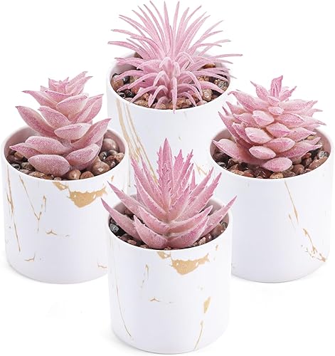 Der Rose 4 Paquetes de Plantas Suculentas Falsas Artificiales de Interior para Decoración de Habitación Rosa y Baño, Accesorios de Escritorio de