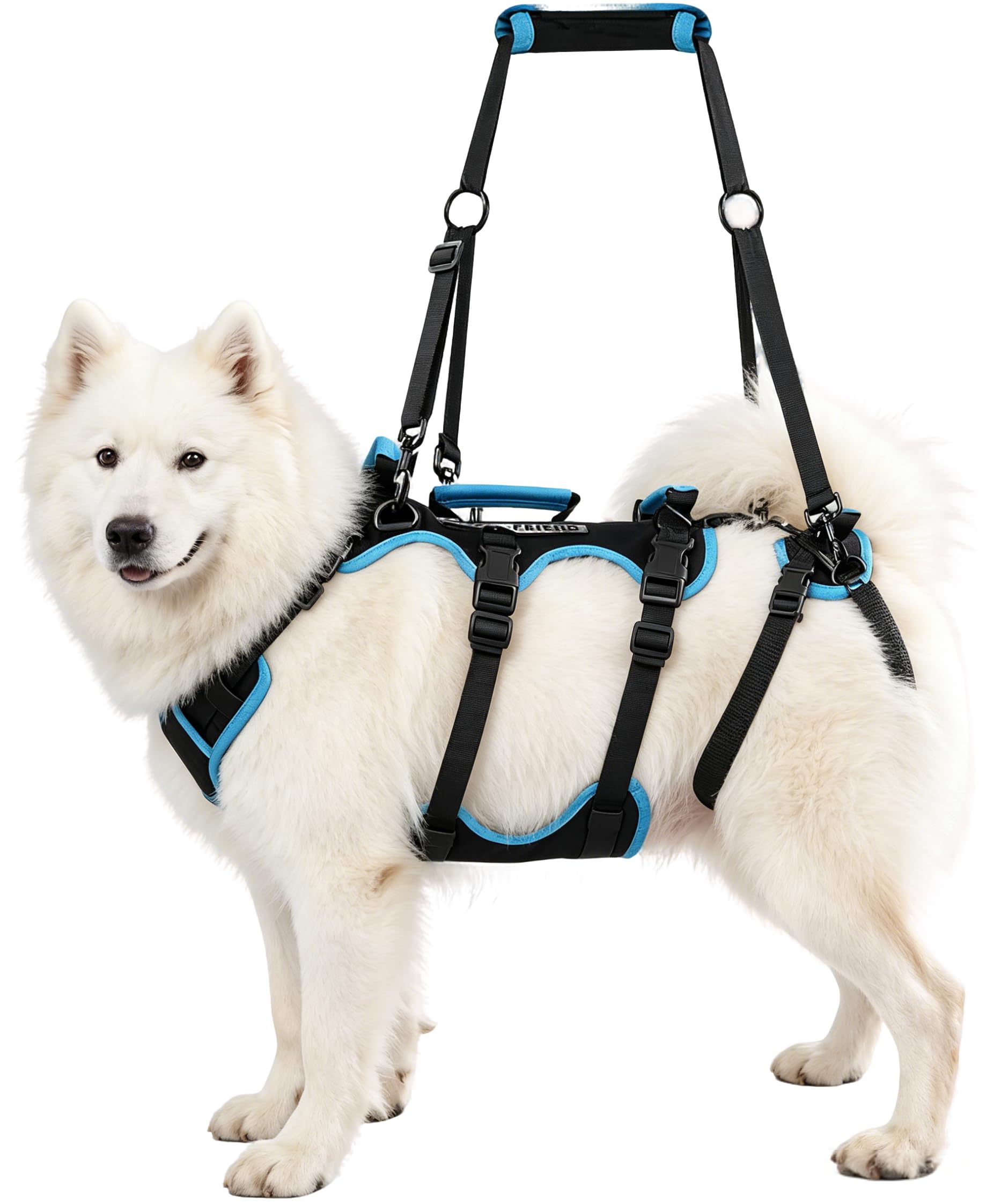 Imbracatura di Supporto per Cani di Taglia Media e Grande, 2 in 1 Imbracatura Sollevamento Cani con 4 Maniglie e Spallacci Regolabili, Supporto Completo per Anziani con Artrite, Disabili, L