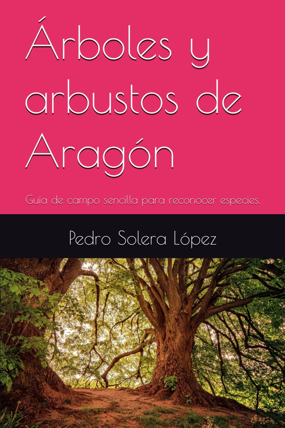 Árboles y arbustos de Aragón: Guía de campo sencilla para reconocer especies.