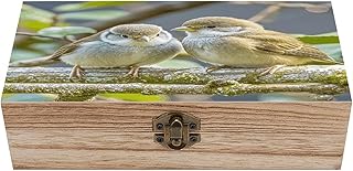 VstaDank Kiwi Birds Cute Wooden Storage Box Decorative Jewelry Case with Lids Exquisite Wood Box Letters Gifts Acacia Wood Boxes Fashion Wooden Keepsake Boxes for Men Women