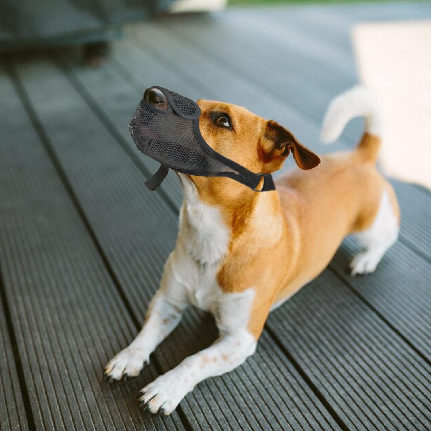 Voarge 1 pezzo museruola per cani, museruola per cani traspirante per cani di taglia grande, museruola regolabile per proteggere dal abbaiare, L