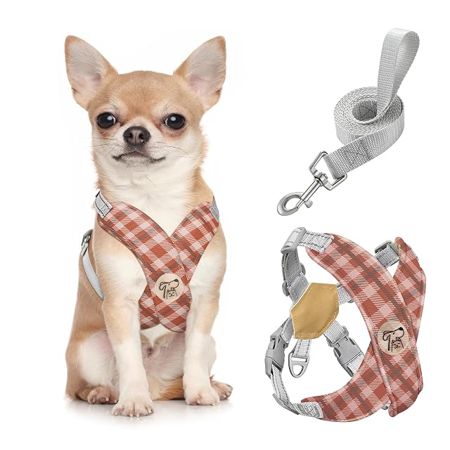 Pawaboo Conjunto de arnés y Correa Ajustable para Perros pequeños
