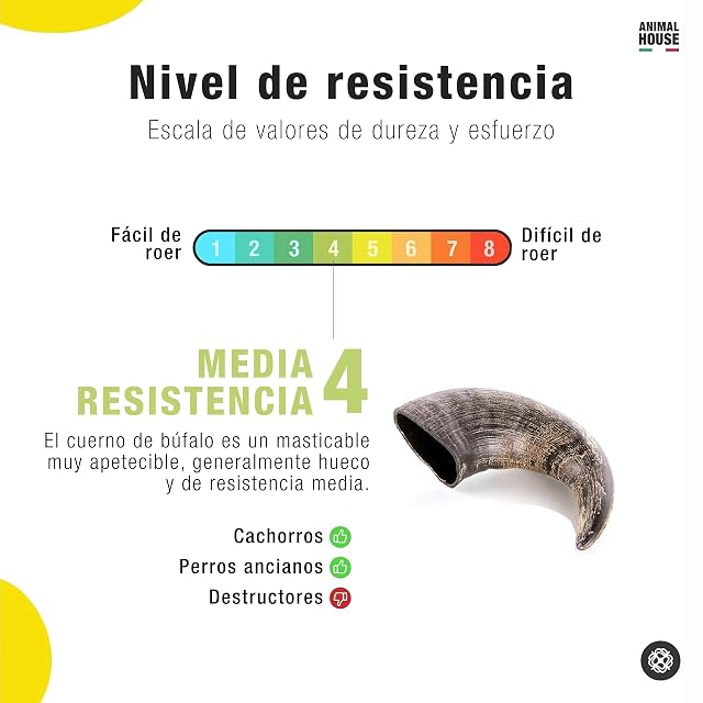 Foto 5 de 6 de Animal House - Cuernos de Búfalo para Perros - 100% Natural - Refuerza la higiene bucal