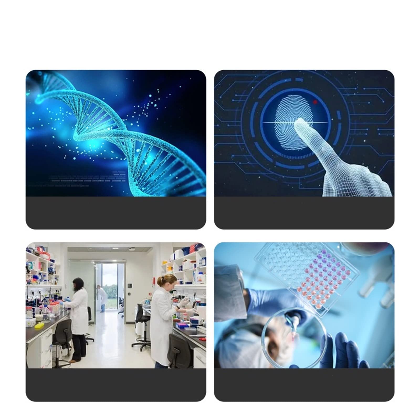 Strumento Elettroforesi, Serbatoio Di Elettroforesi Sequenza Del DNA Dello Strumento Analitica DYCZ-20A/B/C/D(DYCZ-20A)