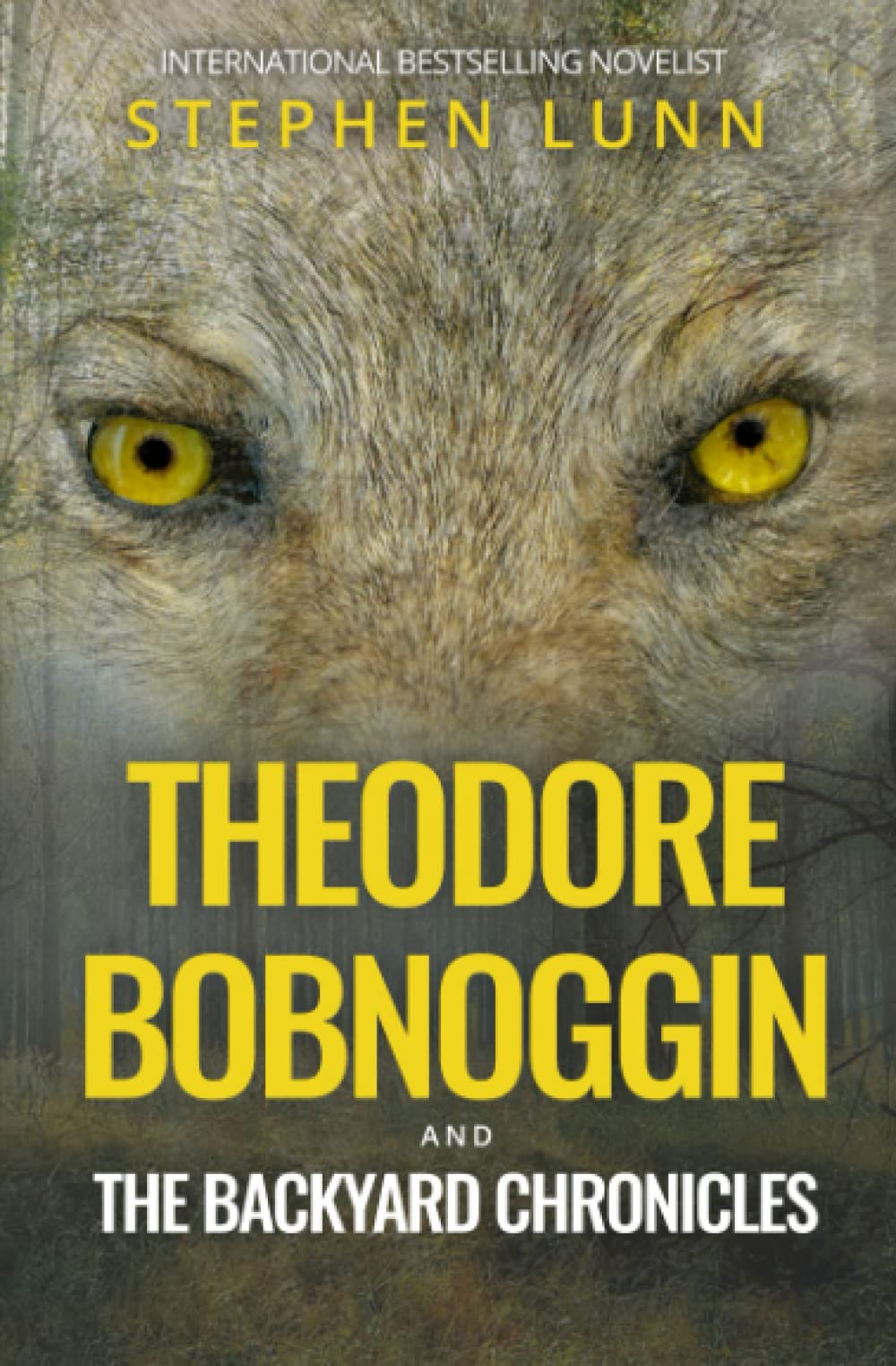Theodore Bobnoggin and The Backyard Chronicles