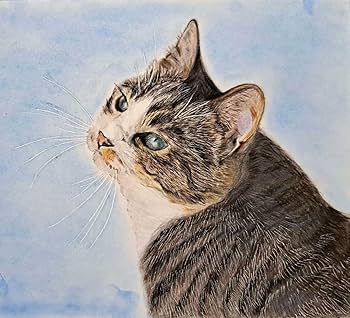 Amazon.co.jp: 色鉛筆画 猫の絵 No.43 : 文房具・オフィス用品