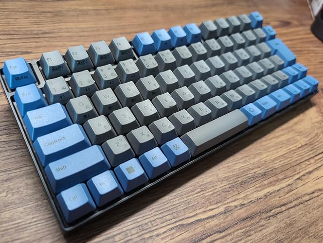 Amazon.co.jp: REALFORCE RC1 キーボード 対応 キーキャップ セット 56