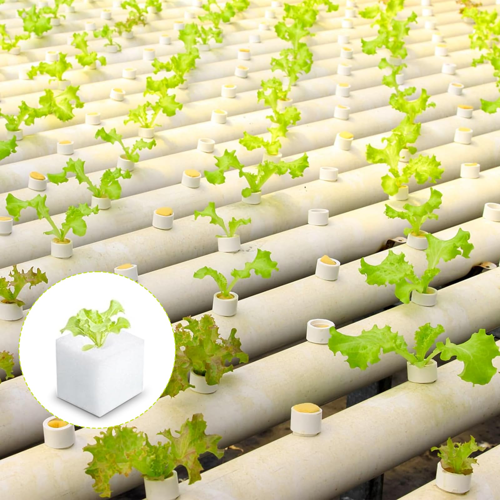Lot de 500 éponges hydroponiques pour la croissance des plantes, outils de jardinage pour semis, serres et plantes potagères.