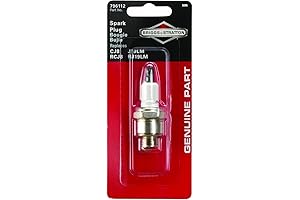 Briggs & Stratton 5095K L-Head Engine Spark Plug: Igniting Performance and Durability