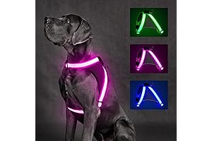 Premium Light-Up Dog Harness for Medium Dogs: Enhanced Nighttime Safety and Comfort