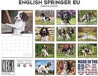 Vista 784 de Razas de Perros 2017