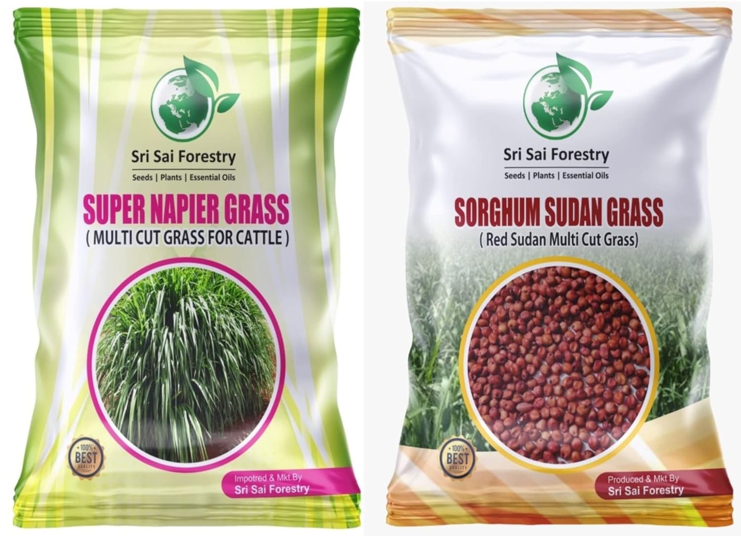 SRI SAI FORESTRY Super Napier Grass Seeds Sudhan Grass Seeds