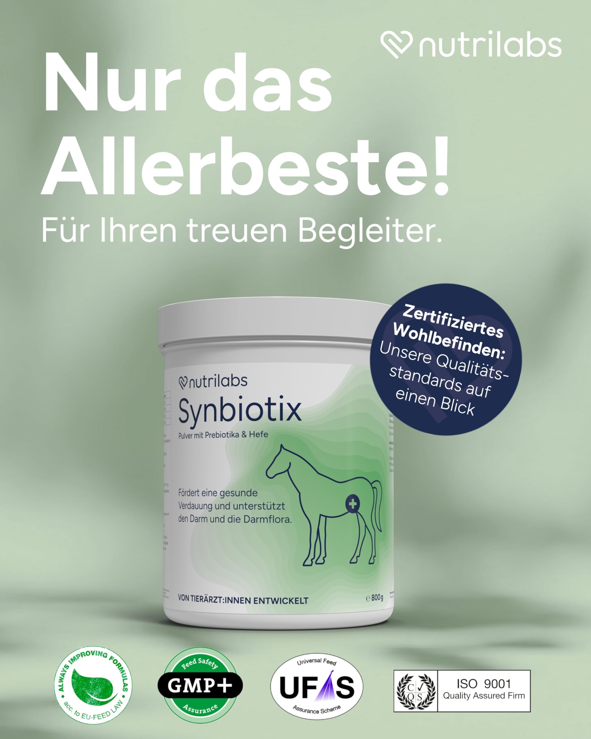 NutriLabs Synbiotix Pulver für Pferde-Darm & Verdauung 800g - Pferde Darmflorapulver mit Hefe, Alant usw. - Pferdenahrungsergänzung - Verdauungspulver