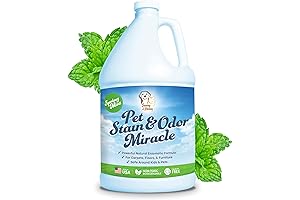 Fury Freshness - Premium Pet Stain & Odor Eliminator