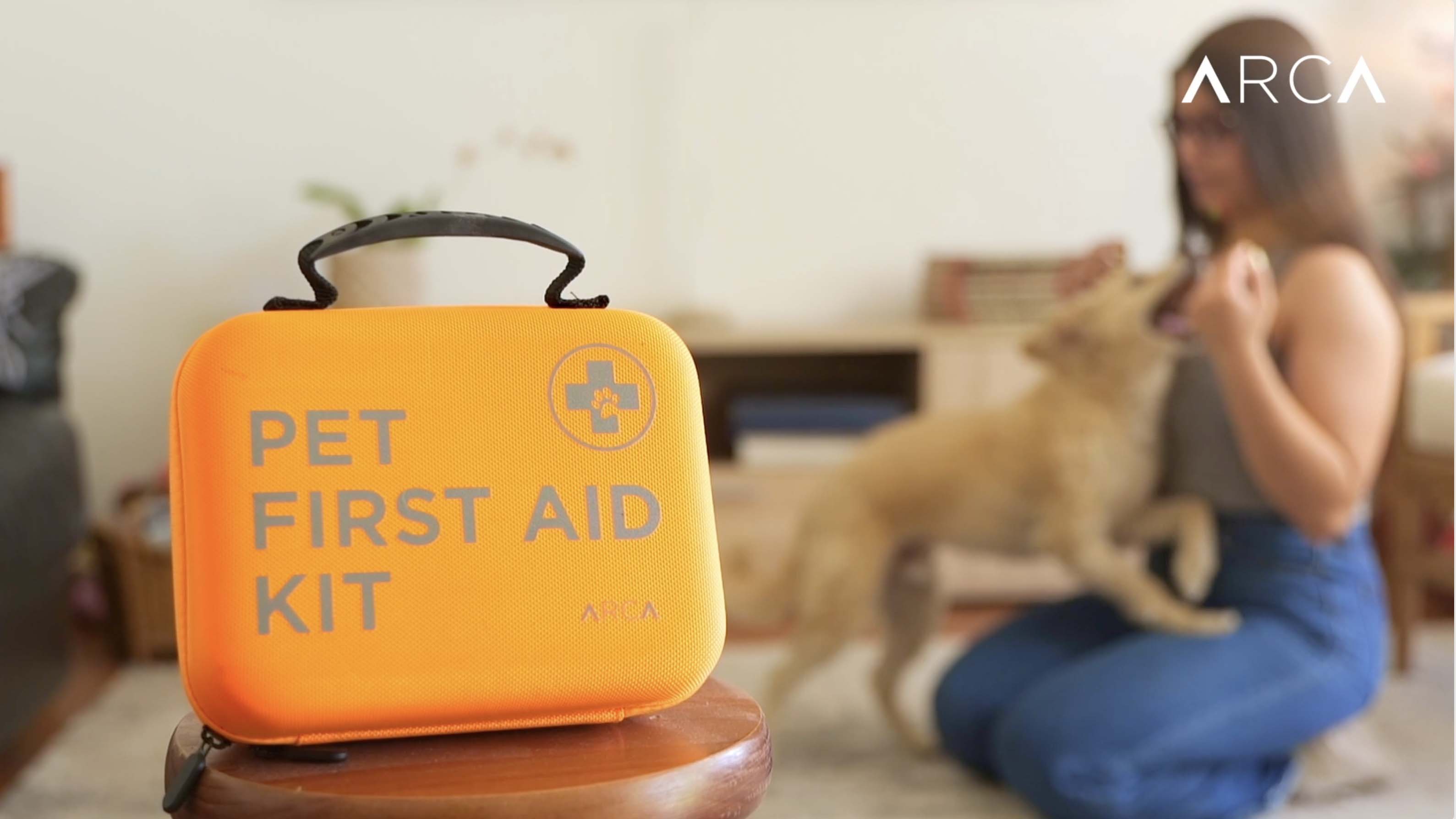 Cat & Dog First Aid Kit for Car - Pet Emergency Kit for Home Office Travel – Dog Camping Essentials with Digital Thermometer, Muzzle & Mini First Aid Pouch - image 8