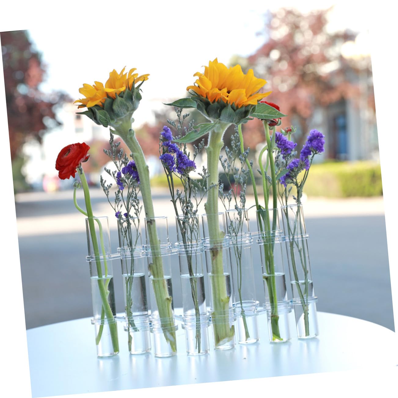 Vase de Propagation Verre Transparent avec Support de Tubes à Essai pour Plantes Hydroponiques Décoration Élégante pour Bureau et Maison