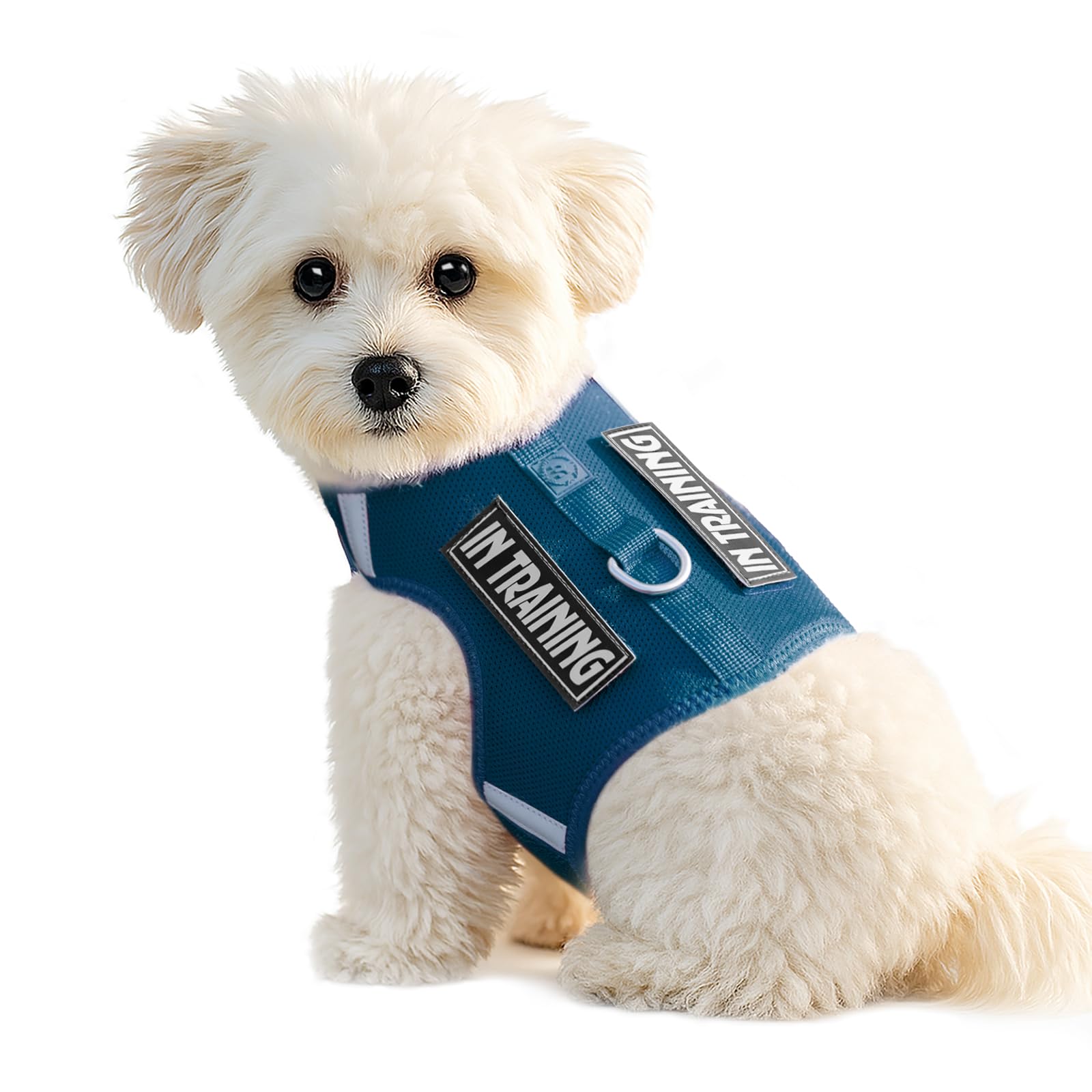Sunraymascota Dog Harness Medium, Adjustable Size, Comfort Soft Vest for Small Dogs, Reflective Design with 2 Patches，Lightweight Breathable Dog Walking and Training (Prussian Blue,L)