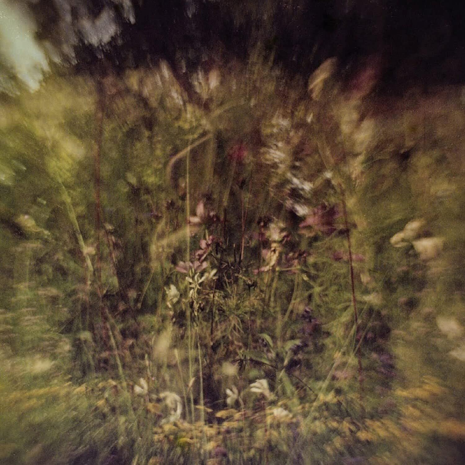 Wile/Remembered [7" VINYL]