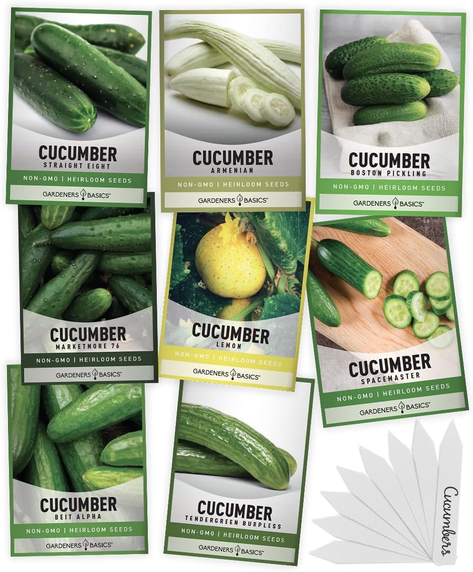 Gardeners Basics, Cucumber Seeds for Planting Outdoors 8