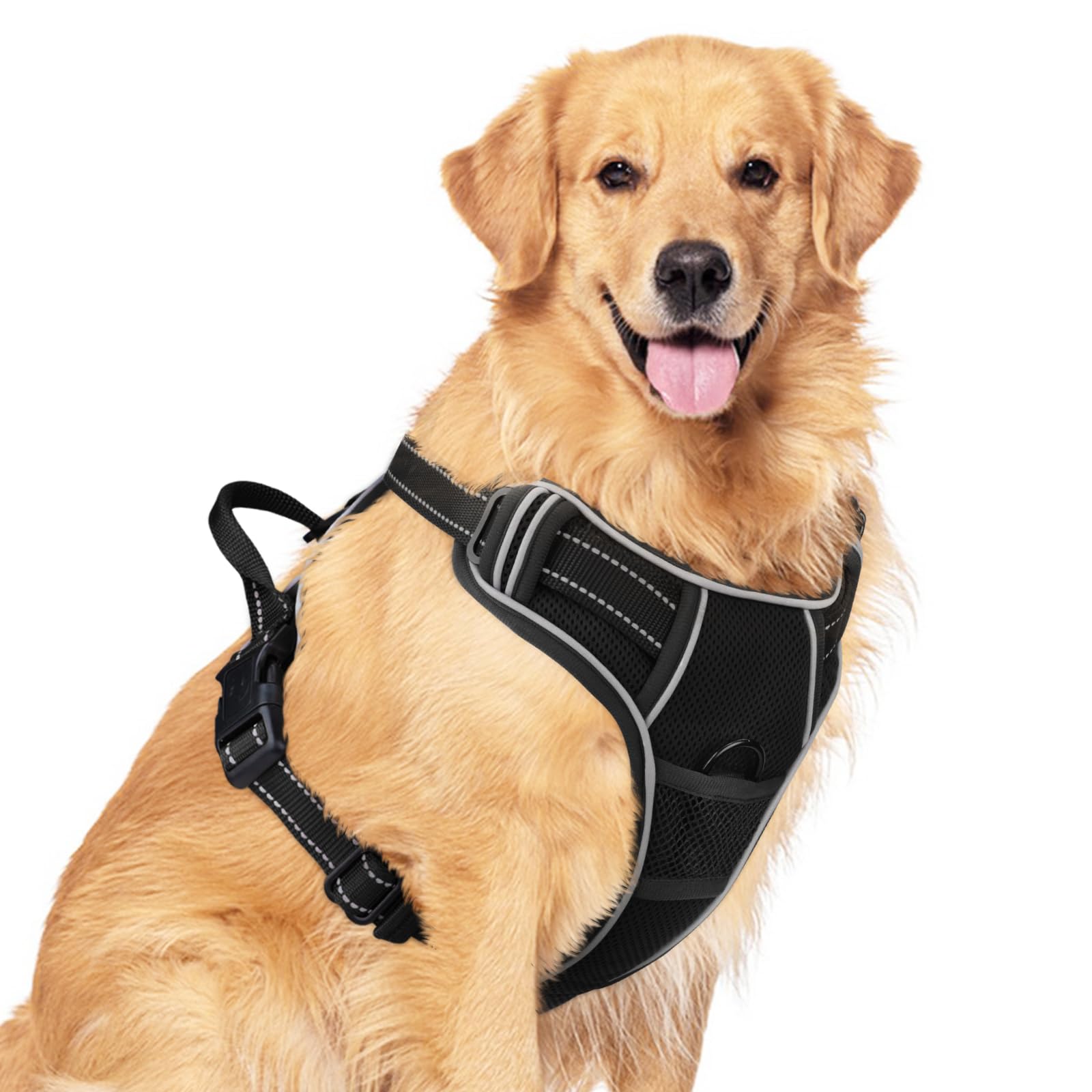 HAPPY HACHI hondentrainingslijn 5m, extra lange riem hondenriem, sterke nylon hondentrainingsriem voor hondenpuppy terugroepen van huisdieren, training, tracking, achtertuin (5m/15ft, blauw