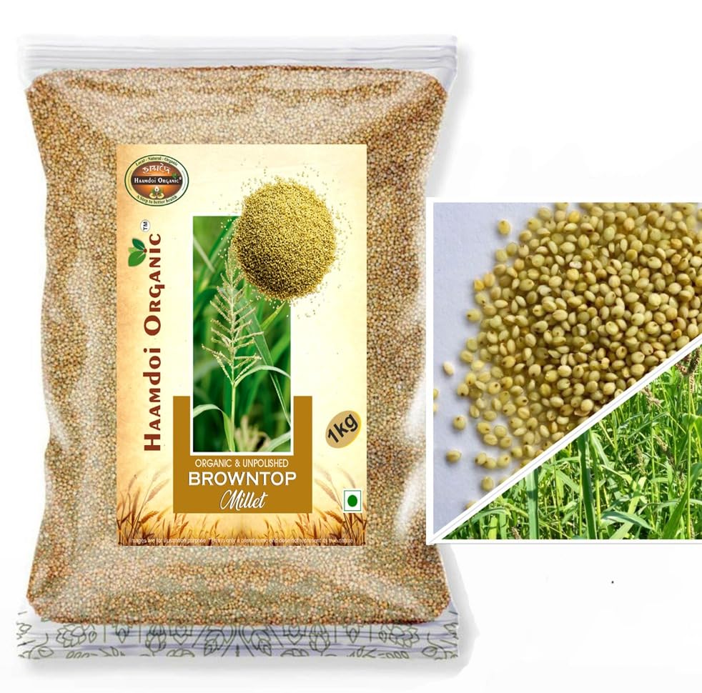 Haamdoi Organic Siridhanya Browntop Millet Unpolished Grain, Whole Grain -500GM Pack, Rich in Fibre and Minerals, Healthy and Organic Foods, Gluten Free, Vegan, Nutrient Rich, No Chemicals | (B0CJLP122Y) Amazon Price History, Amazon Price Tracker
