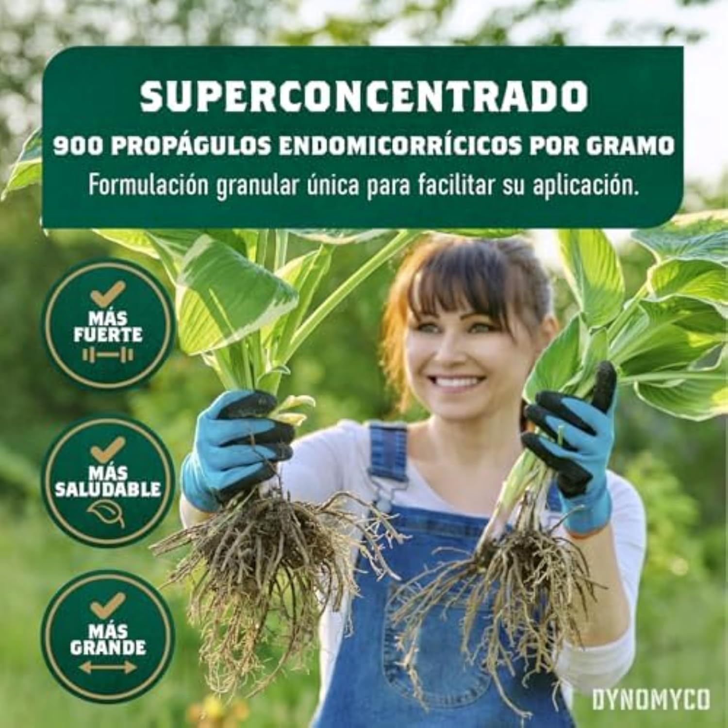 Inoculante de micorrizas DYNOMYCO® – Cepas de alto rendimiento – Fórmula concentrada – Mejora la absorción de nutrientes – Aumenta el rendimiento de las plantas (50 g/Up to 10 Plants)