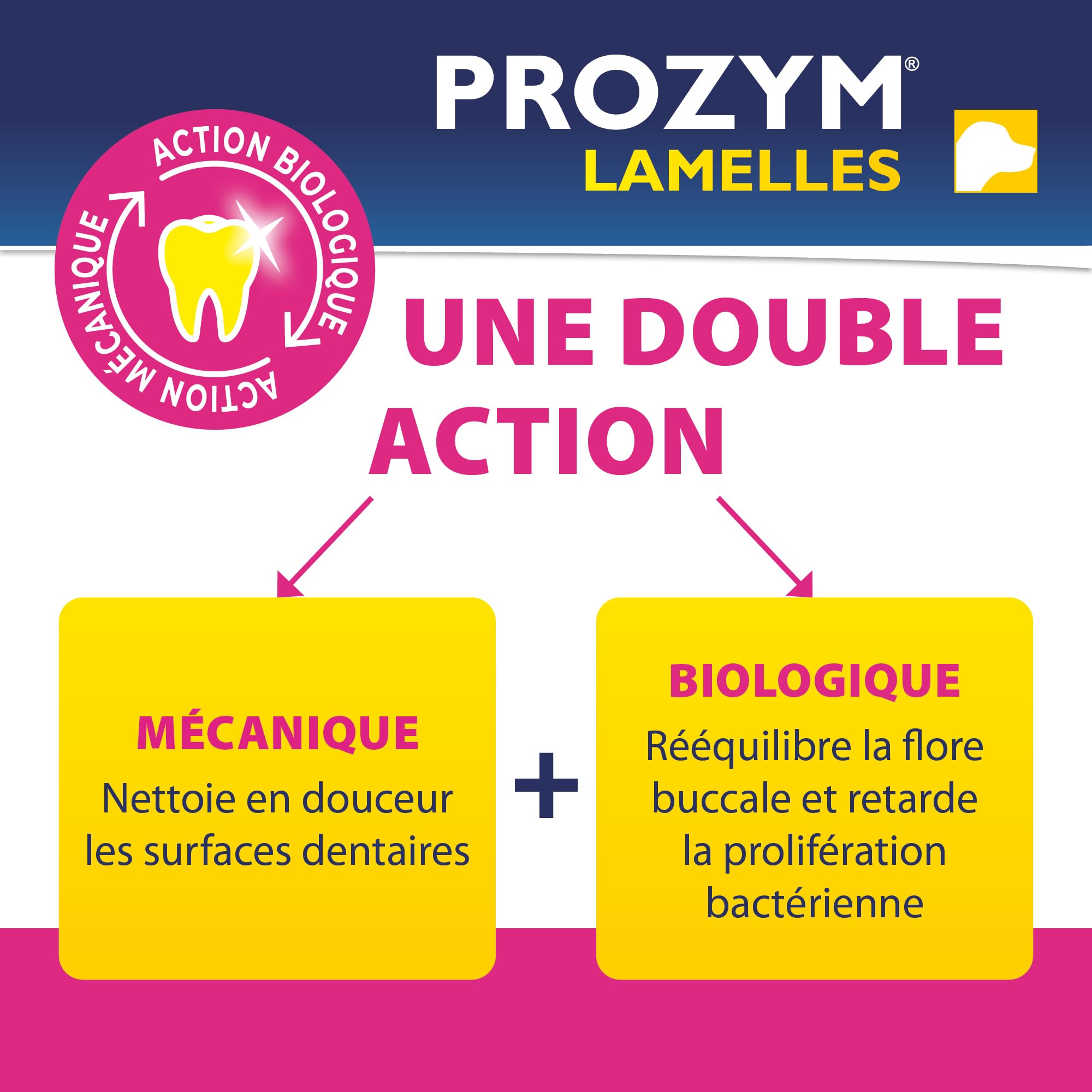 Prozym 15 Lamelles pour Chiens - Soin Dentaire à mâcher - N°1 chez Les vétérinaires - Haleine fraîche - Anti-tartre - Anti-Plaque - Gencives saines (L)