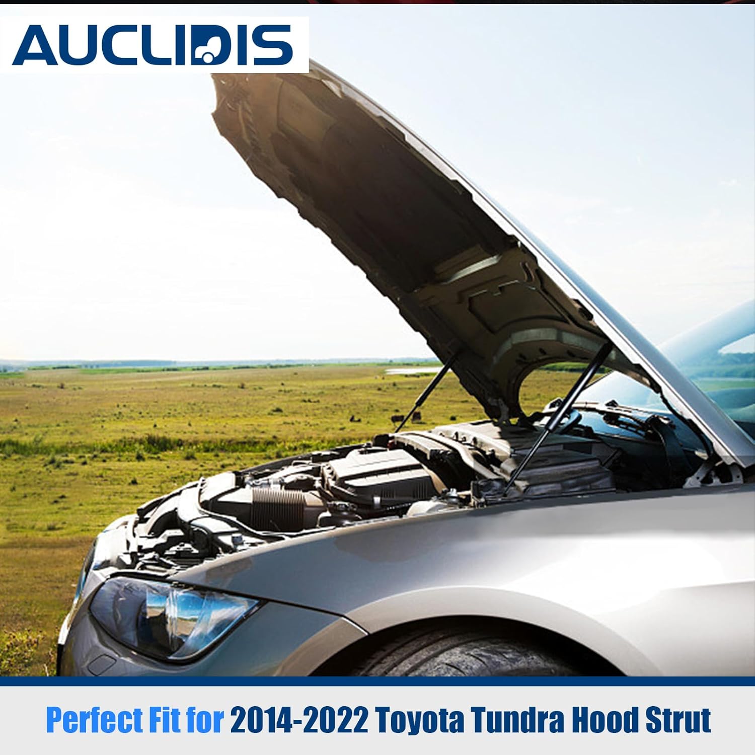 Front Hood Strut Lift Support Compatible with Toyota Tundra 2014-2022, Bonnet Shock Strut Replace OE# 53440-0C030, Set of 2 by AUCLIDIS