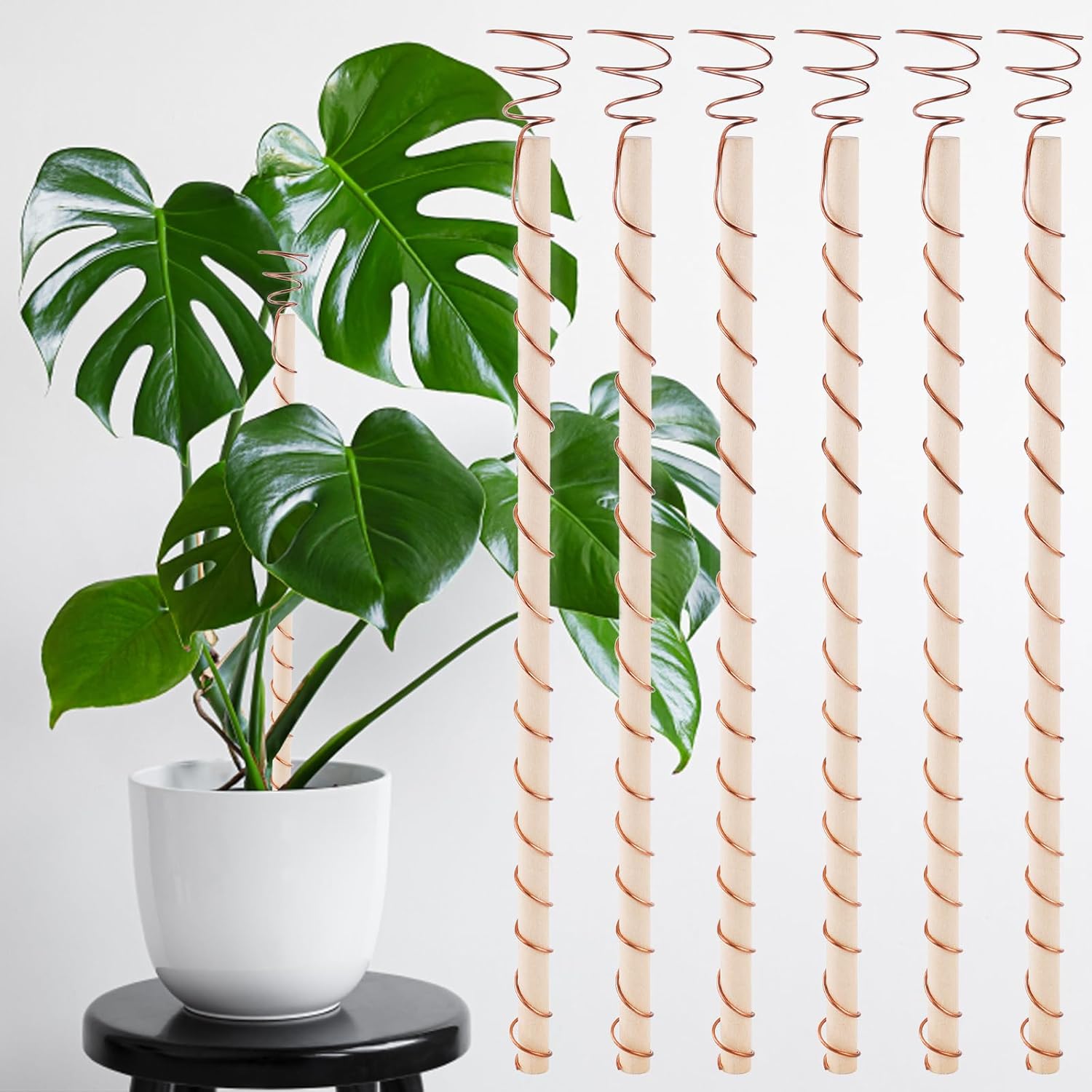 6pcs Electroculture Plant Stakes, Gardening Copper Coil Antennas Copper