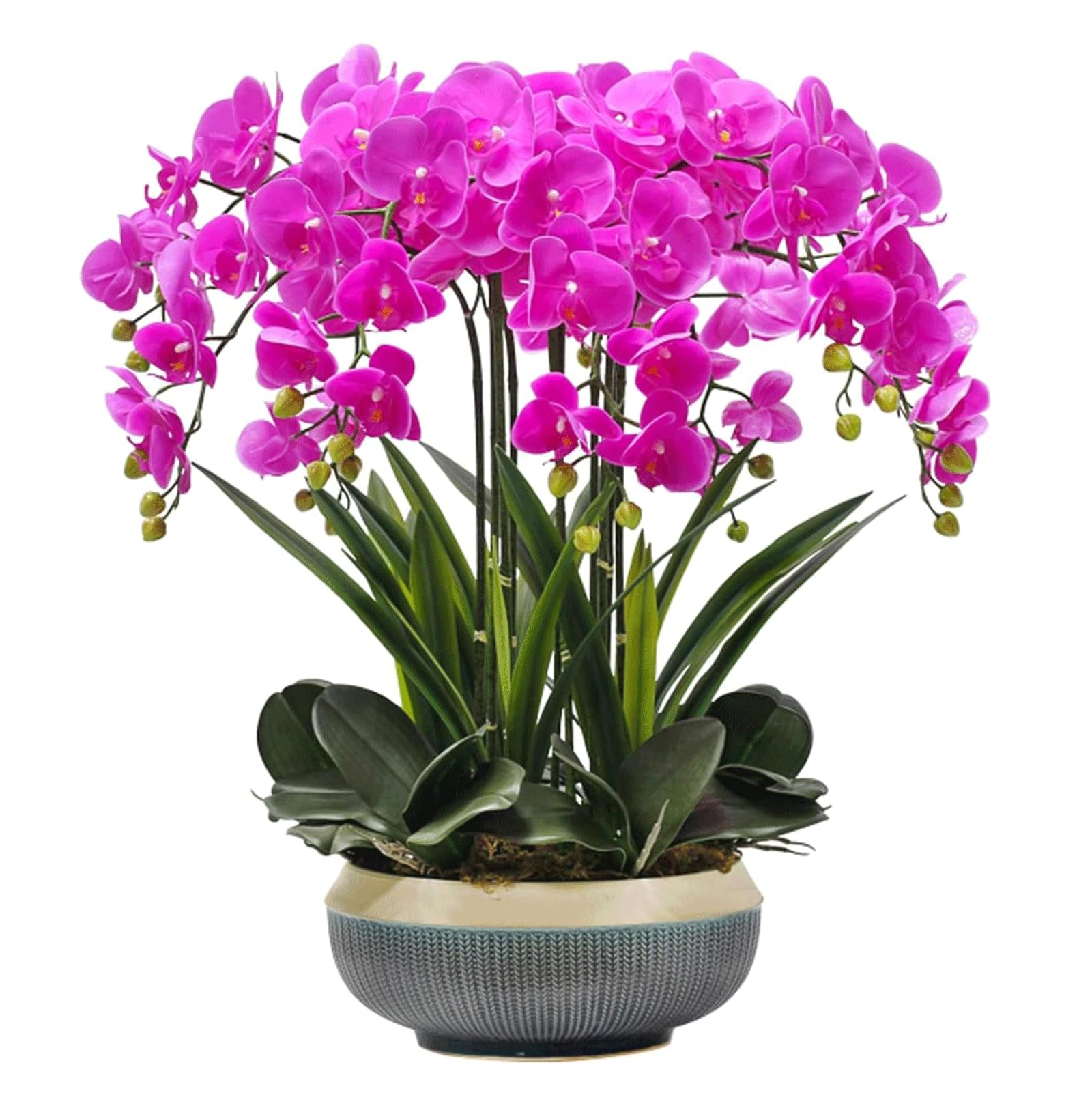 Orchidées artificielles avec Vase en céramique, Fleurs artificielles en polyuréthane, phalaenopsis artificielles, 65 cm, Fausses Fleurs pour la Maison