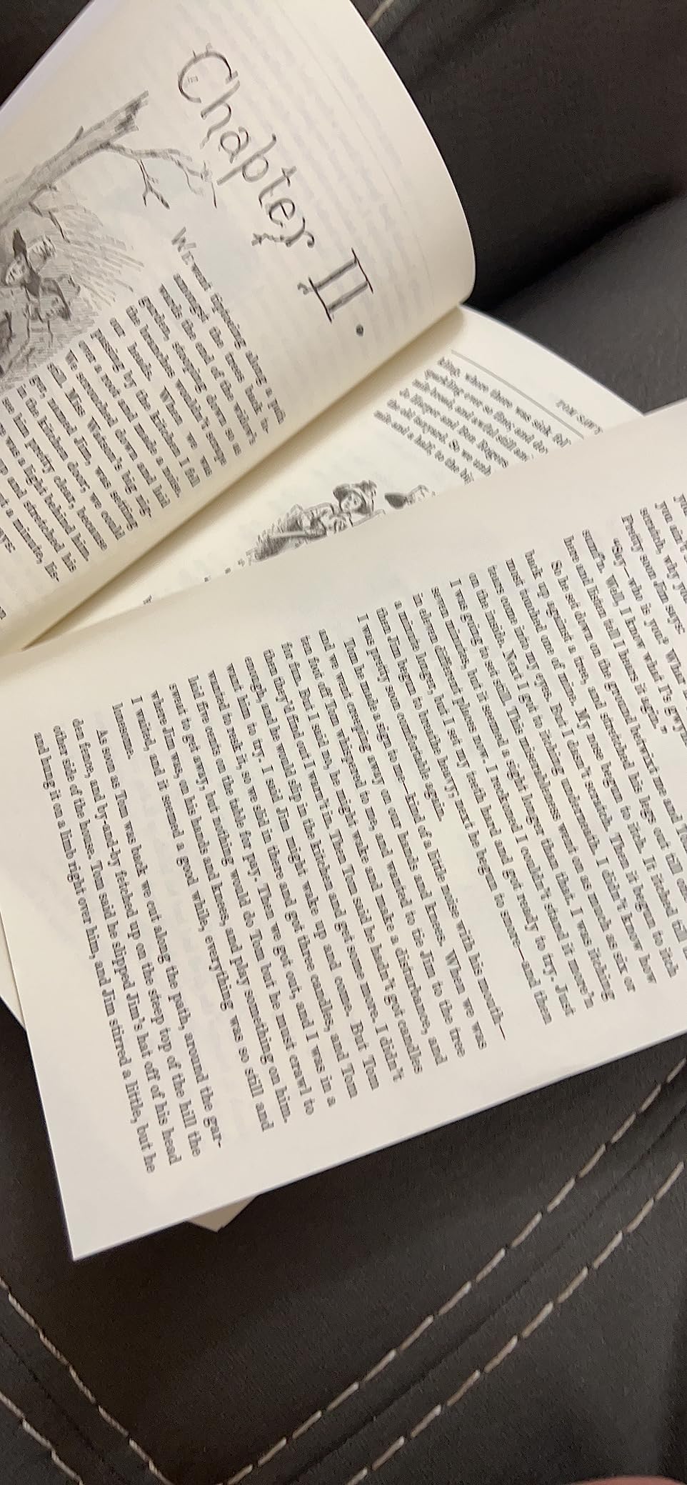 A couple of pages fall out of the book.